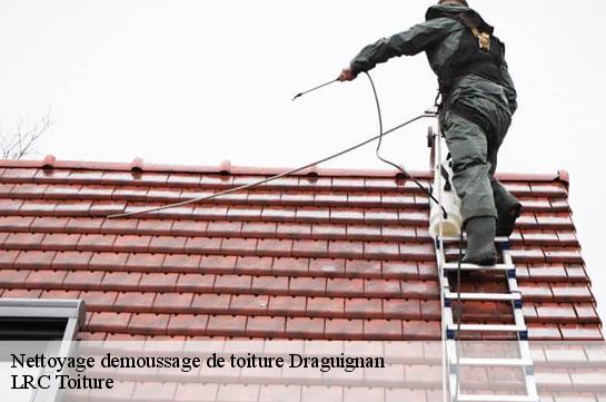 nettoyage-demoussage-de-toiture 