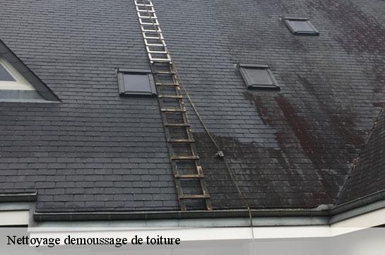 nettoyage-demoussage-de-toiture