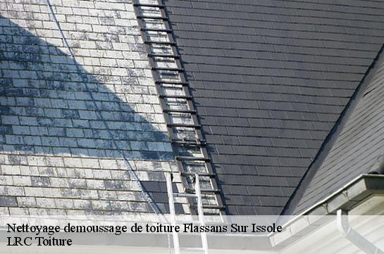 nettoyage-demoussage-de-toiture