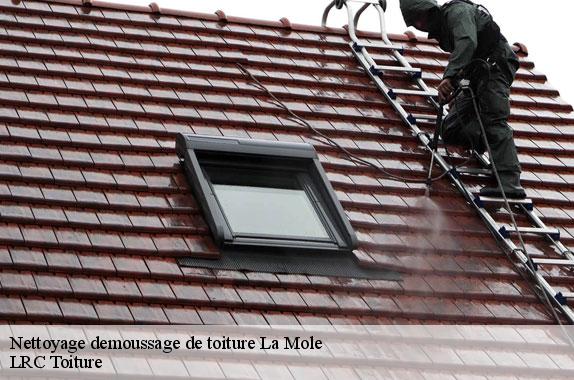 nettoyage-demoussage-de-toiture