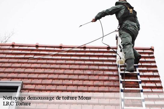 nettoyage-demoussage-de-toiture 