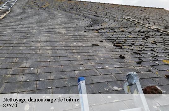 nettoyage-demoussage-de-toiture