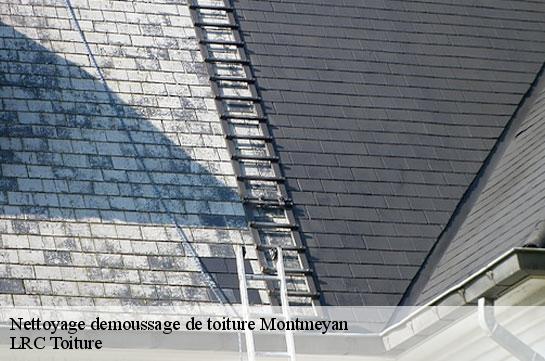 nettoyage-demoussage-de-toiture 