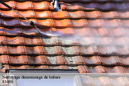 nettoyage-demoussage-de-toiture