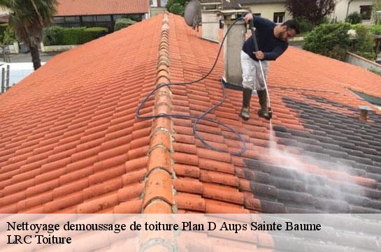 nettoyage-demoussage-de-toiture