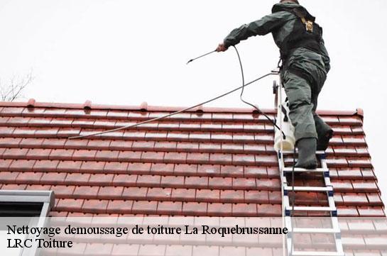 nettoyage-demoussage-de-toiture 