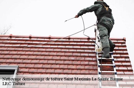 nettoyage-demoussage-de-toiture