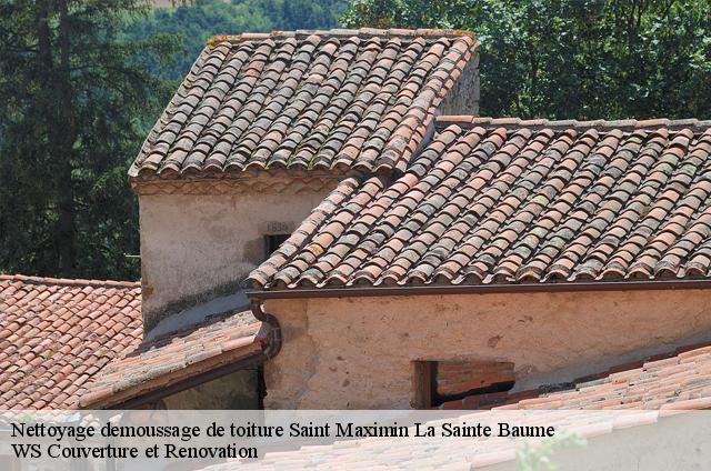 Nettoyage demoussage de toiture  saint-maximin-la-sainte-baume-83470 WS Couverture et Renovation