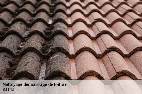 nettoyage-demoussage-de-toiture 