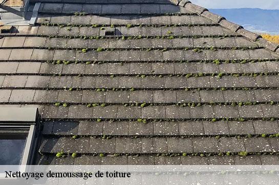 nettoyage-demoussage-de-toiture