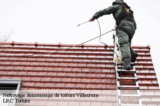 nettoyage-demoussage-de-toiture