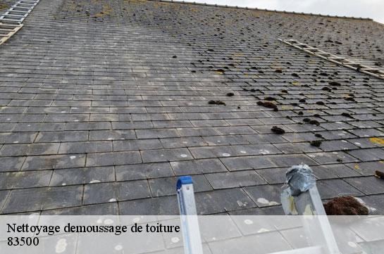 nettoyage-demoussage-de-toiture