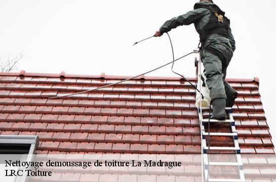 nettoyage-demoussage-de-toiture