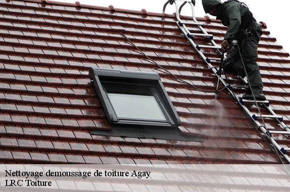 nettoyage-demoussage-de-toiture