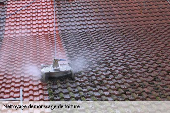 nettoyage-demoussage-de-toiture